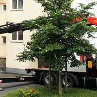 Tresorumzug – Produktabbildung